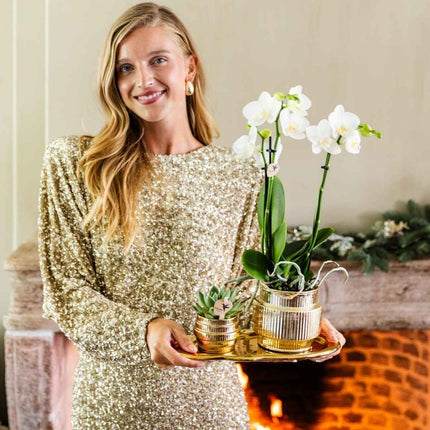 Kolibri Home | Allure Empire Shiny sierpot - Goud - Ø6cm