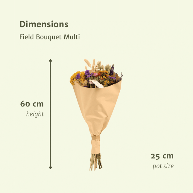Ramo de flores secas multicolor - Ø25cm - ↕60cm