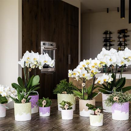 Kolibri Home | Blomsterpotte - Sand - Ø12cm