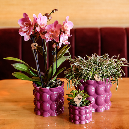 Kolibri Home | Cotton Shine decorative pot - Purple - Ø6cm