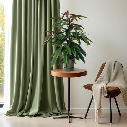 Ficus Binnendijkii 'Rey Amstel' - ↕75cm - Ø17cm