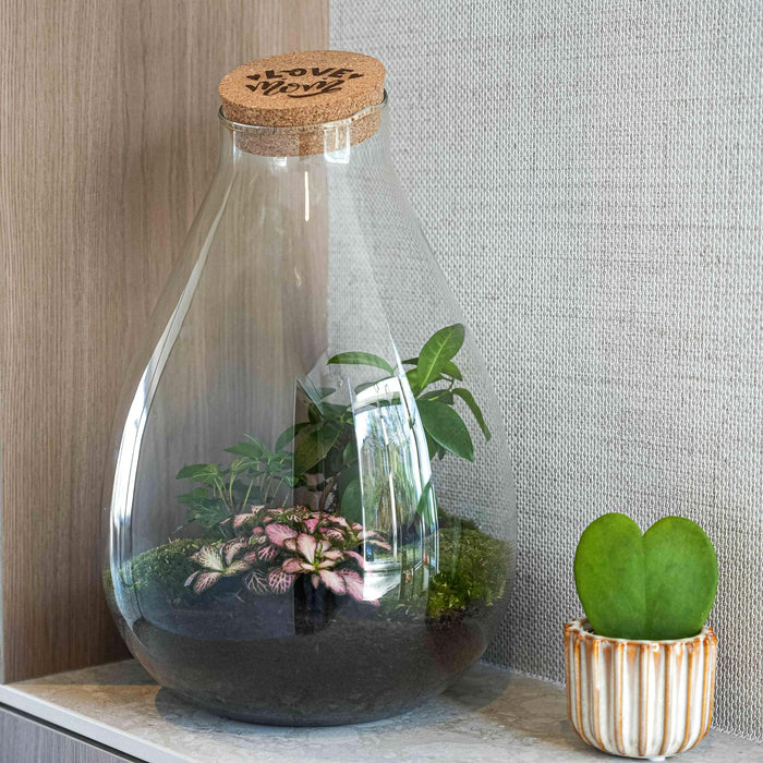 'LOVE MOM' terrarium Drop XL + gegraveerde kurk - Fles terrarium DIY kit – Ø24cm - ↕37cm - Moederdag