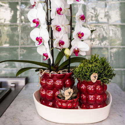 Kolibri Home | Cotton Shine decorative pot - Red - Ø12cm