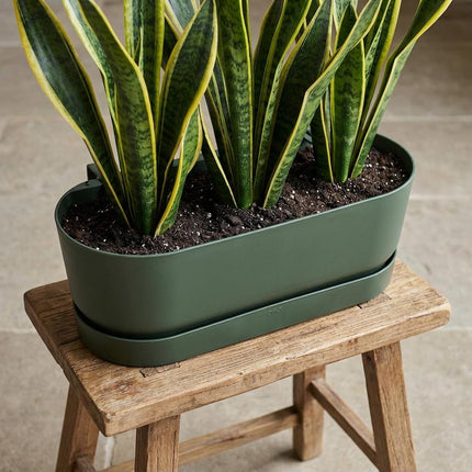 Jardinera para balcón Elho Greenville Easy Balcony D25cm - Verde hoja - Maceta