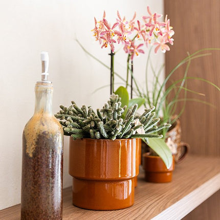Kolibri Home | Timeless sierpot - Oranje - Ø12 cm