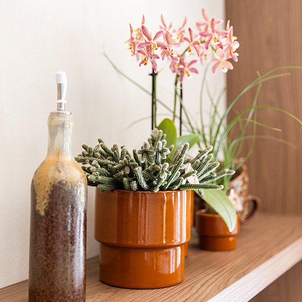 Kolibri Home | Timeless sierpot - Oranje - Ø12 cm