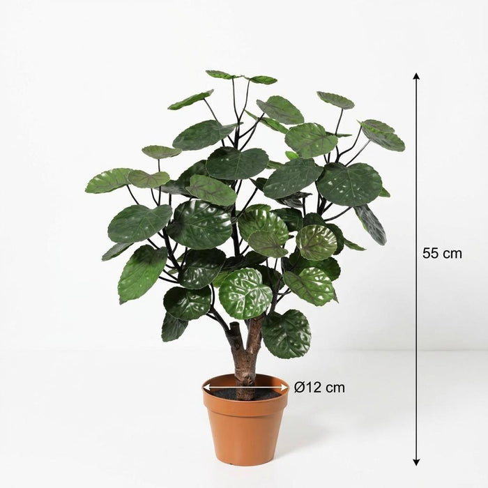 Kunstplant Polysicas Fabian - ↕55cm