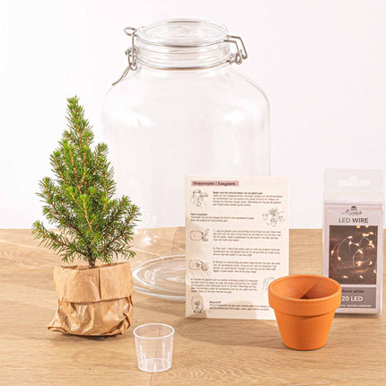 Easyplant - Christmas - Kerst decoratie  - ↕28cm - Kerstboom in fles