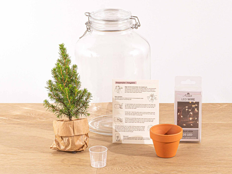 Easyplant - Christmas - Kerst decoratie  - ↕ 28 cm - Kerstboom in fles