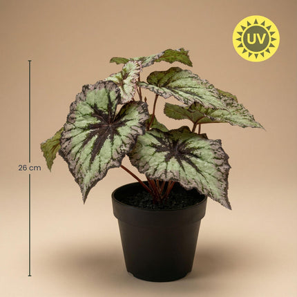 Artificial Begonia plant in pot - ↕26 cm