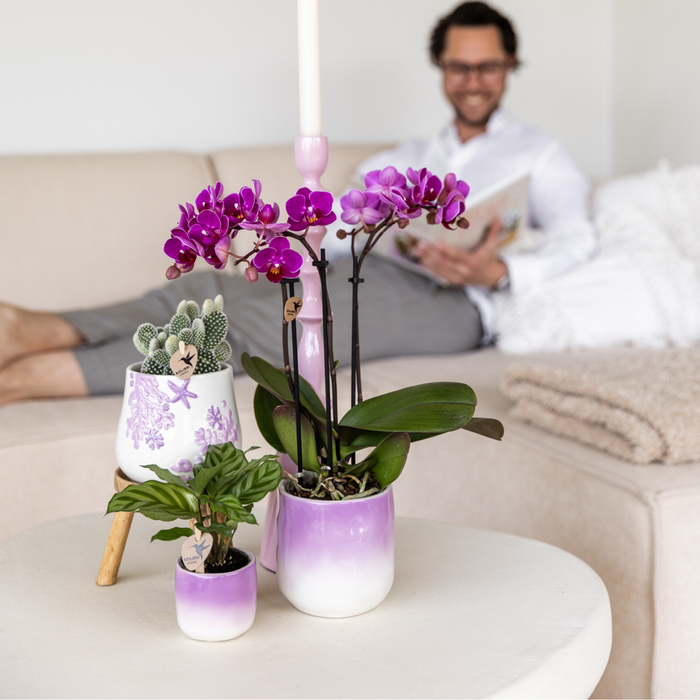 Kolibri Home | Coral Plantenpot  - Lilac - Ø9cm