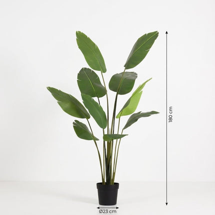 Sztuczna roślina Strelitzia Nicolai - ↕180cm
