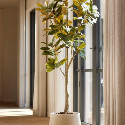 Duża sztuczna roślina - Magnolia Denudata - ↕150 cm
