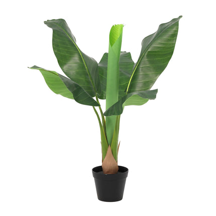Sztuczna roślina Bananowiec Musa - ↕80cm