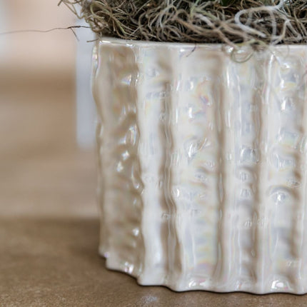 Kolibri Home | Oyster Twin sierpot - Ø18 cm