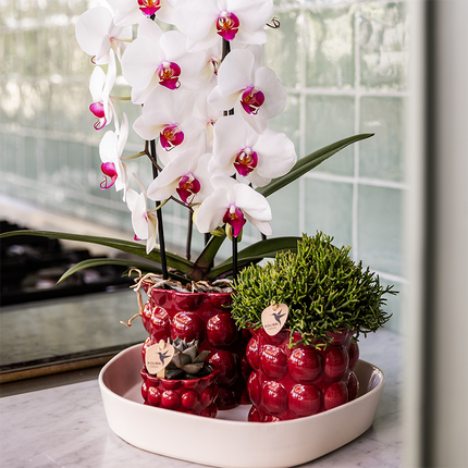 Kolibri Home | Cotton Shine decorative pot - Red - Ø9cm