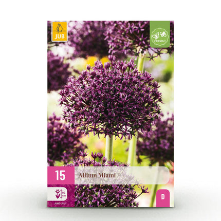 Bulbes de fleurs - Allium Miami - Violet - 15 pièces - Calibre 10/11 - Paquet XXL