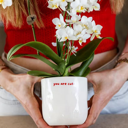 Kolibri Home | You Are Cute sierpot - Ø9cm