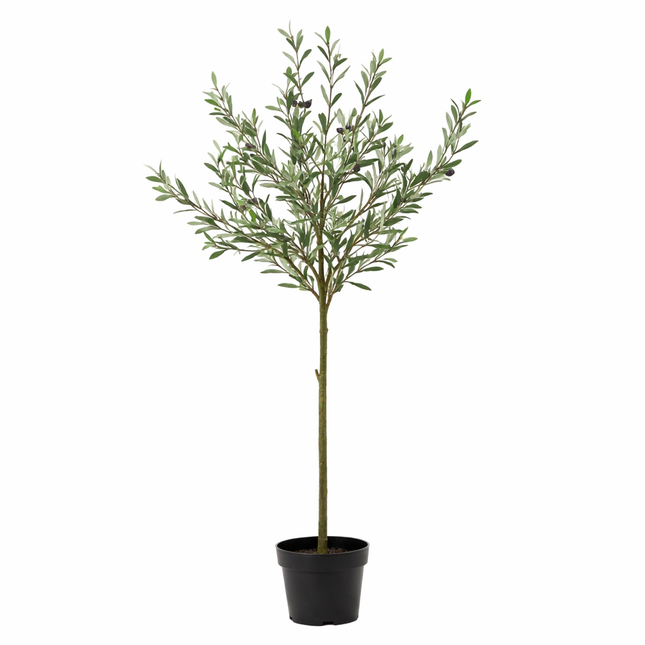 Ulivo artificiale - ↕150cm
