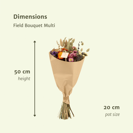Dried flowers Field Bouquet Multi - Ø20cm - ↕50cm