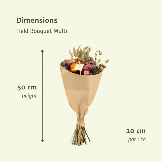 Ramo de flores secas multicolor - Ø20cm - ↕50cm