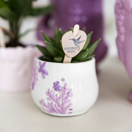 Kolibri Home | Doniczka koralowa - liliowa - Ø6 cm