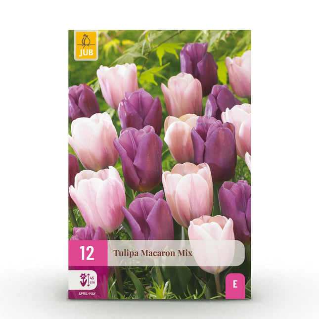 Bulbi da fiore - Mix di tulipani Macron - Vari colori - 12 pezzi - Misura bulbo 11/12 - Confezione XXL