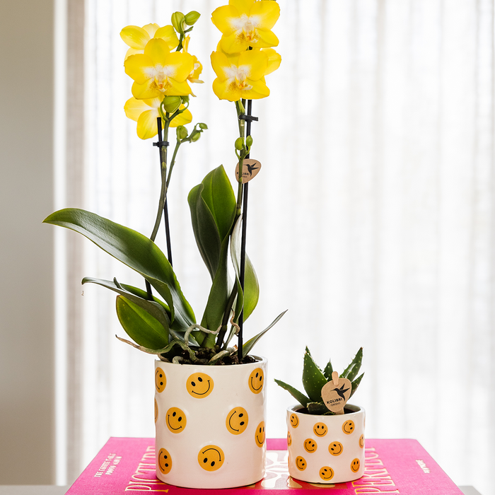 Kolibri Home | Smiley sierpot - Ø9cm