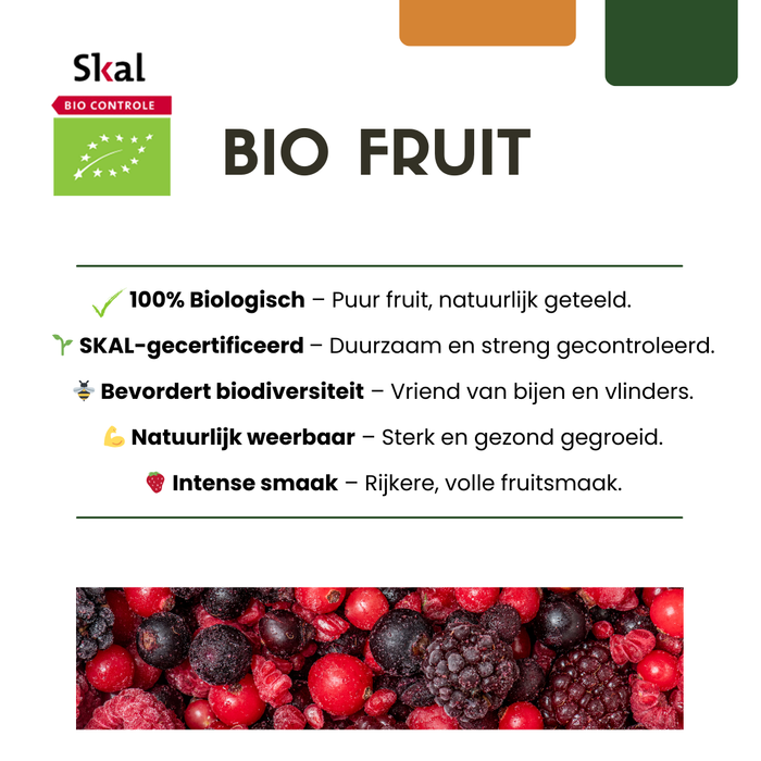 Bramenplanten Biologisch - Rubus Fruticosus - ↕20cm - Ø13cm - 6x