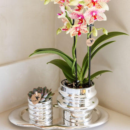 Kolibri Home | Cloud Dienblad - Zilver