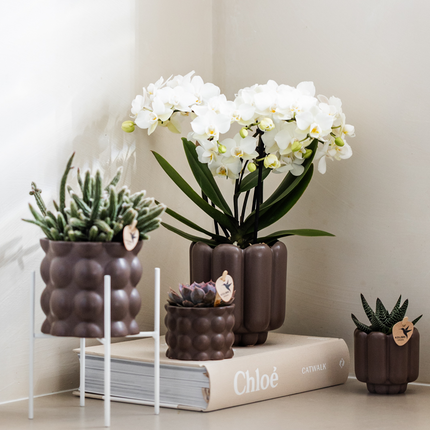 Kolibri Home | Doniczka dekoracyjna bawełniana - Brązowa - Ø9 cm
