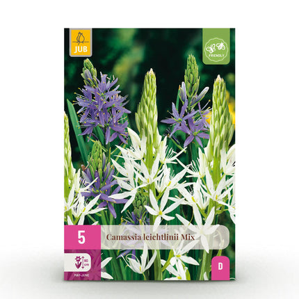 Bulbes de fleurs - Camassia Leichtlinii Mix - Couleur violet et blanc - 5 bulbes - Calibre 12/14 - Paquet XXL