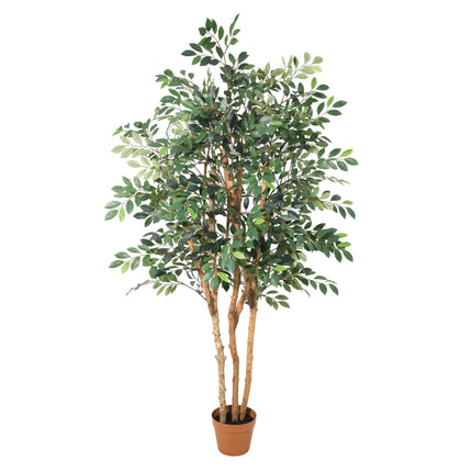Sztuczna roślina Ficus Exotica - ↕150 cm