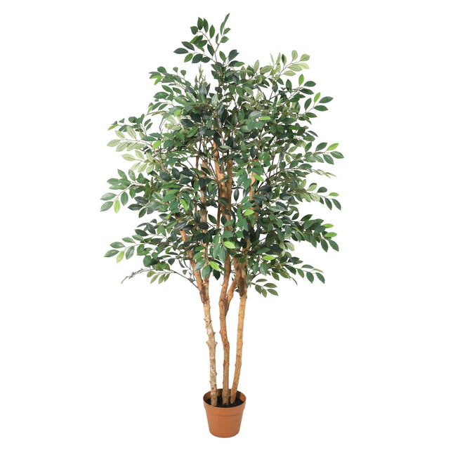 Kunstplant Ficus Exotica - ↕150cm