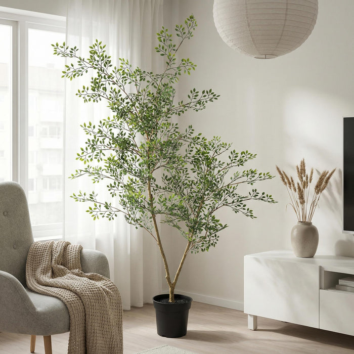 Kunstplant Bucida - ↕70cm