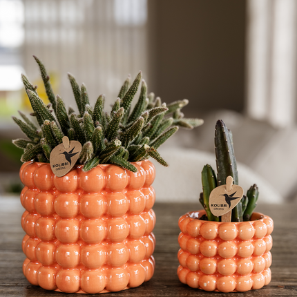 Pot décoratif Colibris | Coquelicot - Orange - Ø6cm
