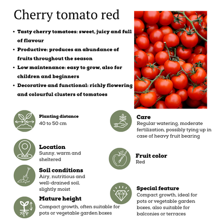 Rode plukgroente mix van 3 planten - Cherry tomaat - Rode snack paprika - Rode hete peper plant - ↕45cm - Ø14cm