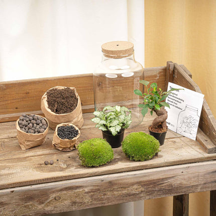 Terrarium pour plantes - Little Milky + lampe LED ↑ 25 cm