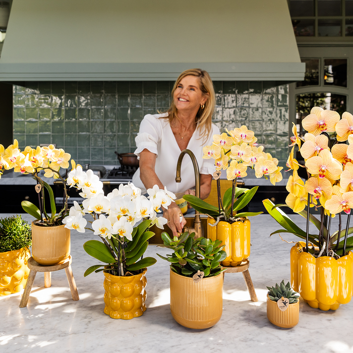 Kolibri Home | Retro Shine sierpot - Yellow - Ø9cm