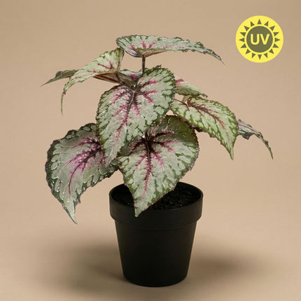 Artificial Begonia plant in pot - ↕26 cm