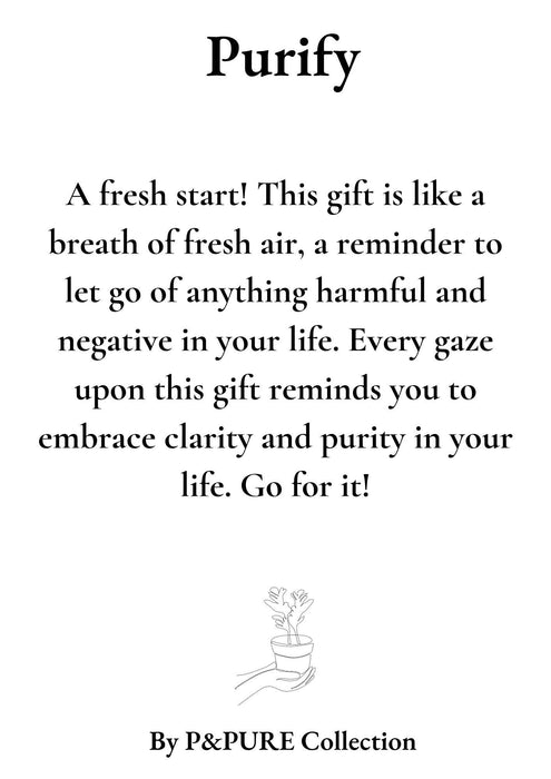 Clusia Rosea Gift "Purify" met wenskaart - Ø12cm - ↕30cm