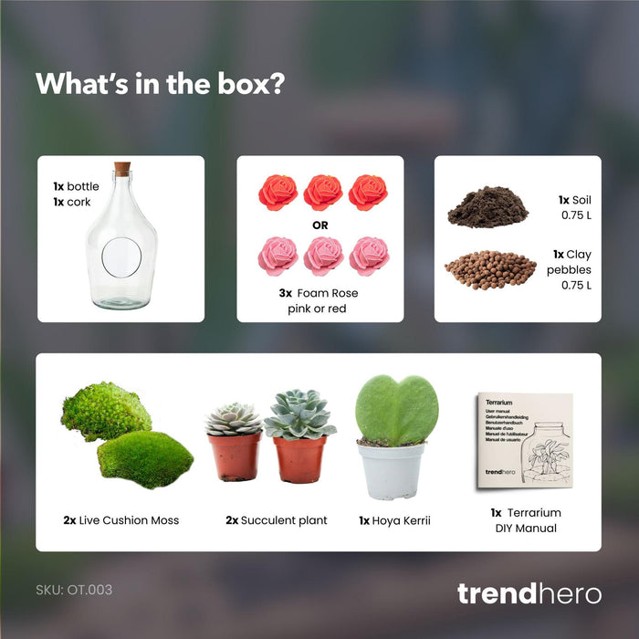 Love in a Bottle - DIY Open Planten terrarium - ↕30cm - Ø16cm
