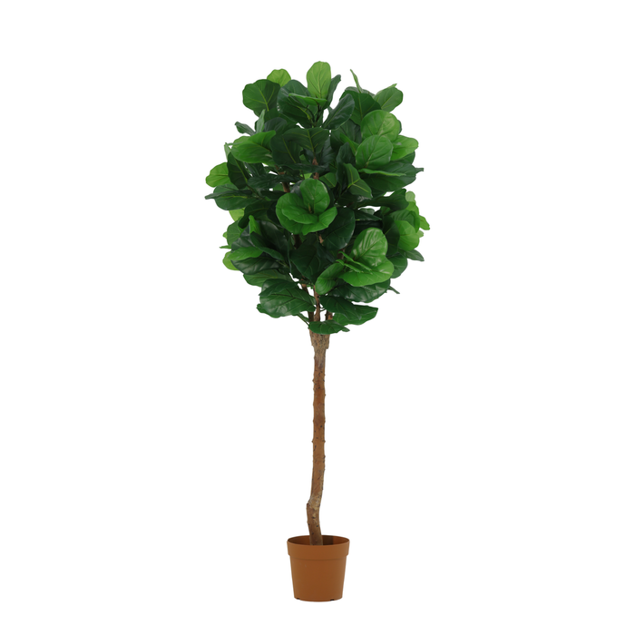 Plante artificielle Ficus lyrata - ↕180cm