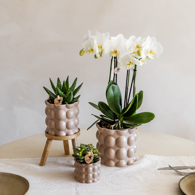 Kolibri Home | Maceta decorativa de algodón - Arena - Ø6cm