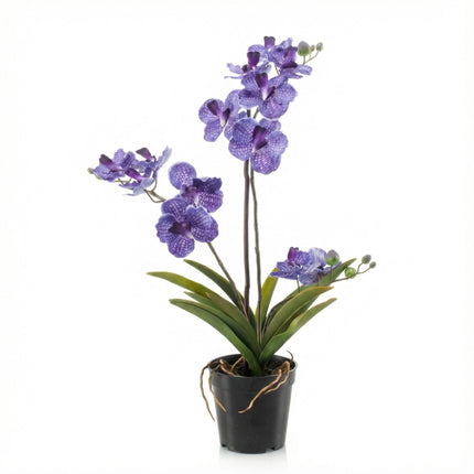 Artificial Vanda Orchid in pot - ↕60cm