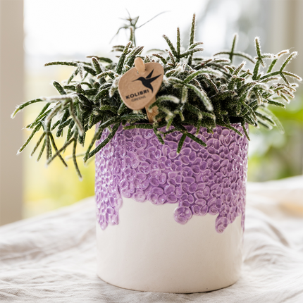 Kolibri Home | Bloom decorative pot - Lilac - Ø6cm