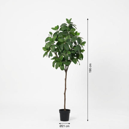Artificial plant Magnolia - ↕190cm