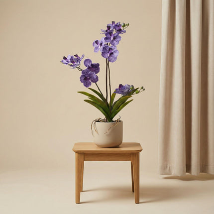 Artificial Vanda Orchid in pot - ↕60cm