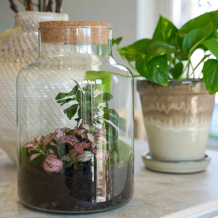LOVE MOM' terrarium Little Milky + engraved cork with light - Bottle terrarium DIY kit - Ø 17 cm ↑ 25 cm - Mother's Day