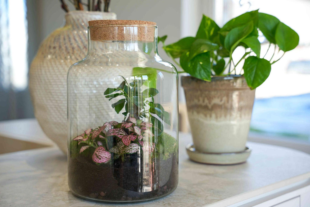 'LOVE MOM' terrarium Little Milky + gegraveerde kurk met licht - Fles terrarium DIY kit - Ø17cm - ↕25 cm - Moederdag